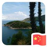 阳光穿透一切595头像