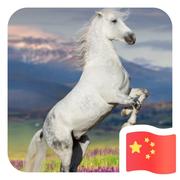 赵国栋的个人资料头像