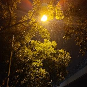 苏轼去世十年头像