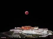 酸奶064的个人资料头像