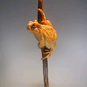 大中华头像