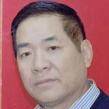 九路军藏拙屋主头像