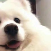 若有所思_的个人资料头像