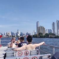 正义凛然柳叶otI头像