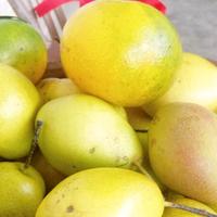 现在的将来123头像