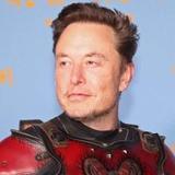 东北动物园在逃长颈鹿头像