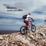 lanZ766头像
