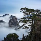 ღ清岚居士头像