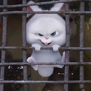 偏执友人i的个人资料头像