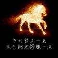 一个人的战场895头像