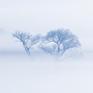 才高八斗豆浆wY头像