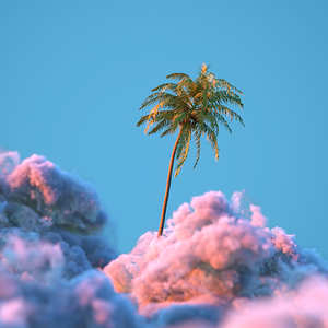 圈内汽车君头像