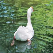 Arielta的个人资料头像