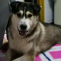 博学晚风3E8头像