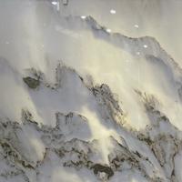 吾乃上将潘凤009头像