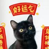 猫毛疼头像