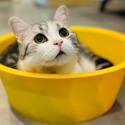 Ginko菌的个人资料头像