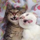 harrison211的个人资料头像