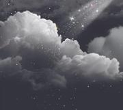 darkShadow的个人资料头像