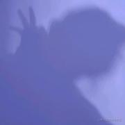 不喜欢苦瓜的个人资料头像