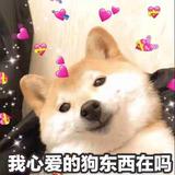 哈尼多戈头像