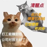 patiu头像