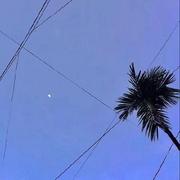 xuuechen的个人资料头像