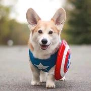 TheKingOfCities的个人资料头像