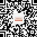 随性自由的枫叶DN头像