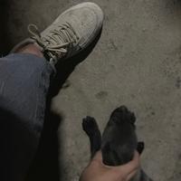 点点豆豆538头像