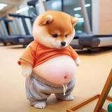 飞翔的企鹅96568头像