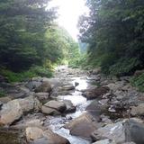 用户385198496057头像