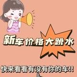 晓玲速查车底价头像