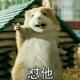 彭先生自娱自乐 · 星越L车主·车龄3年头像