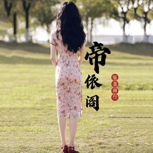 帝依阁服装商行头像