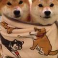 月光斬头像
