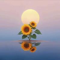 用户9093687592202头像