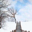 孫壮的个人资料头像