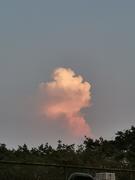 吟月春生的个人资料头像