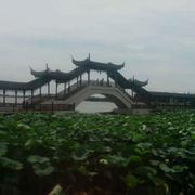 阿浪811的个人资料头像