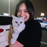 如果买了豪车要低调头像