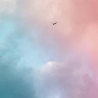 骗你是小狗吧头像