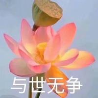 Calm8001头像