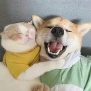 任致远的个人资料头像