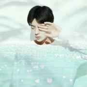 阁下何不随风起的个人资料头像