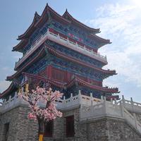 用户3783656485972头像
