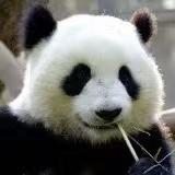 XMR的个人资料头像