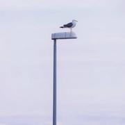 沐春风673的个人资料头像