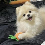 圈西的个人资料头像