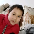 热心小羊y3头像